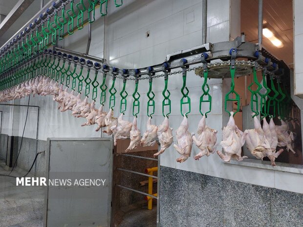 هر کیلو گرم گوشت مرغ ۱۶۸ هزار تومان شد+جدول قیمت کالاهای اساسی3