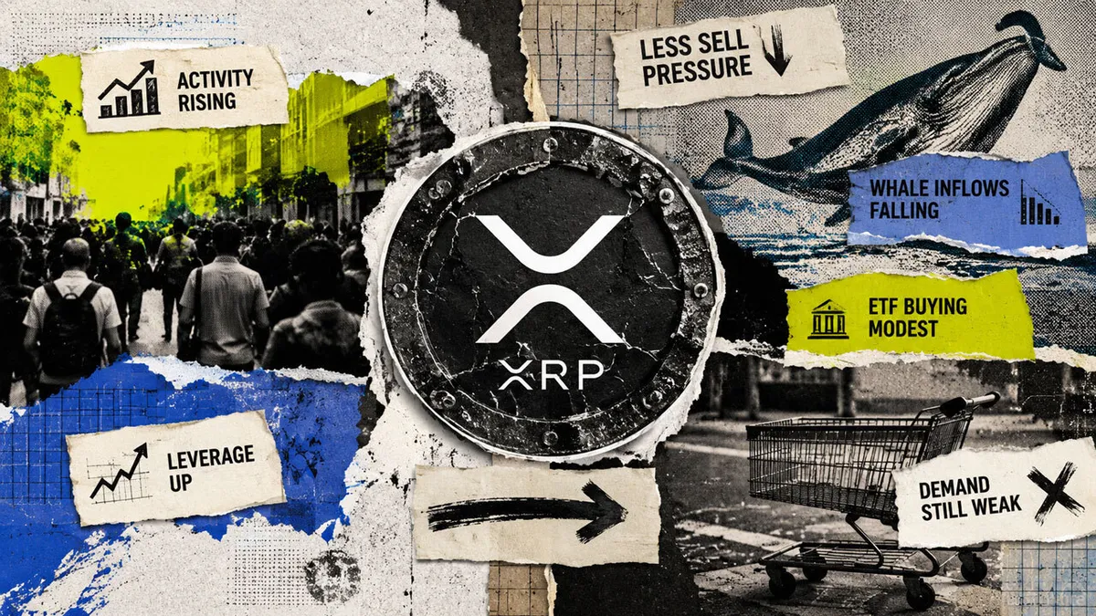 وال‌استریت بی‌سروصدا در حال خرید ETFهای ریپل؛ ردپای غول‌های مالی در بازار XRP